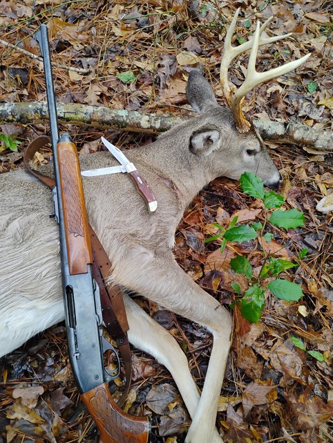 IMG_20250113_092129352