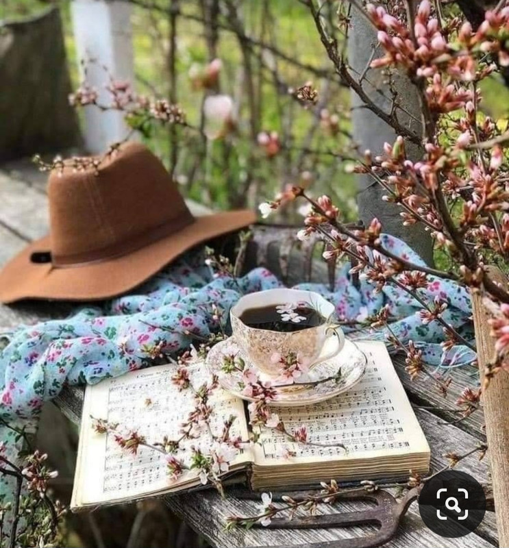 Screenshot_20240502_231202_Pinterest