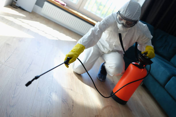 Termite Treatment Kissimmee