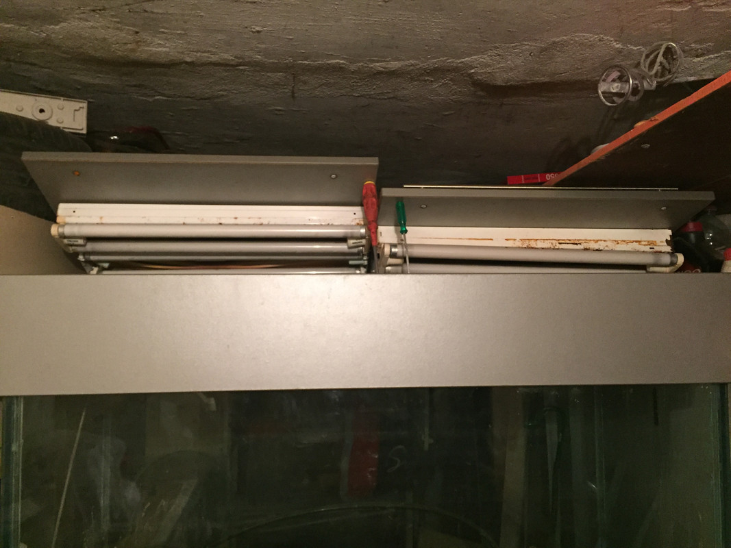 63778418-EE32-469C-90D3-29B0ABF352F4