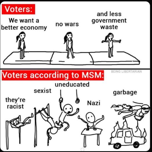 voters-want-better-economy-no-wars-less-waste-msm-racist-sexist-natzi-uneducated-gymnastics.jpg