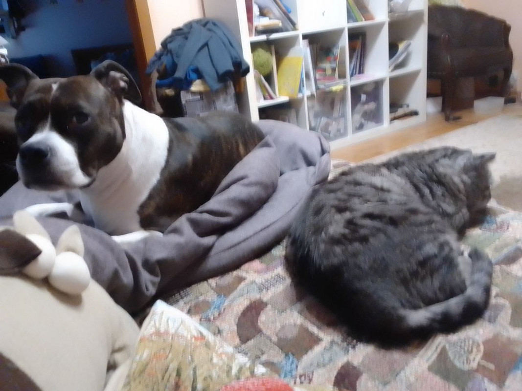 CC2DD8E3-788E-49A9-8300-5EFDF40F1176