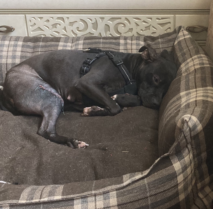 5AA9AECB-9EED-4F78-85B5-4AE402025358