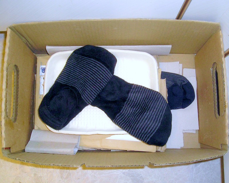 [Bild: P1017116.jpg]