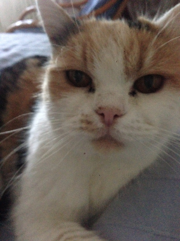 0A6AD663-A43E-410A-A55F-1F730A8D1327