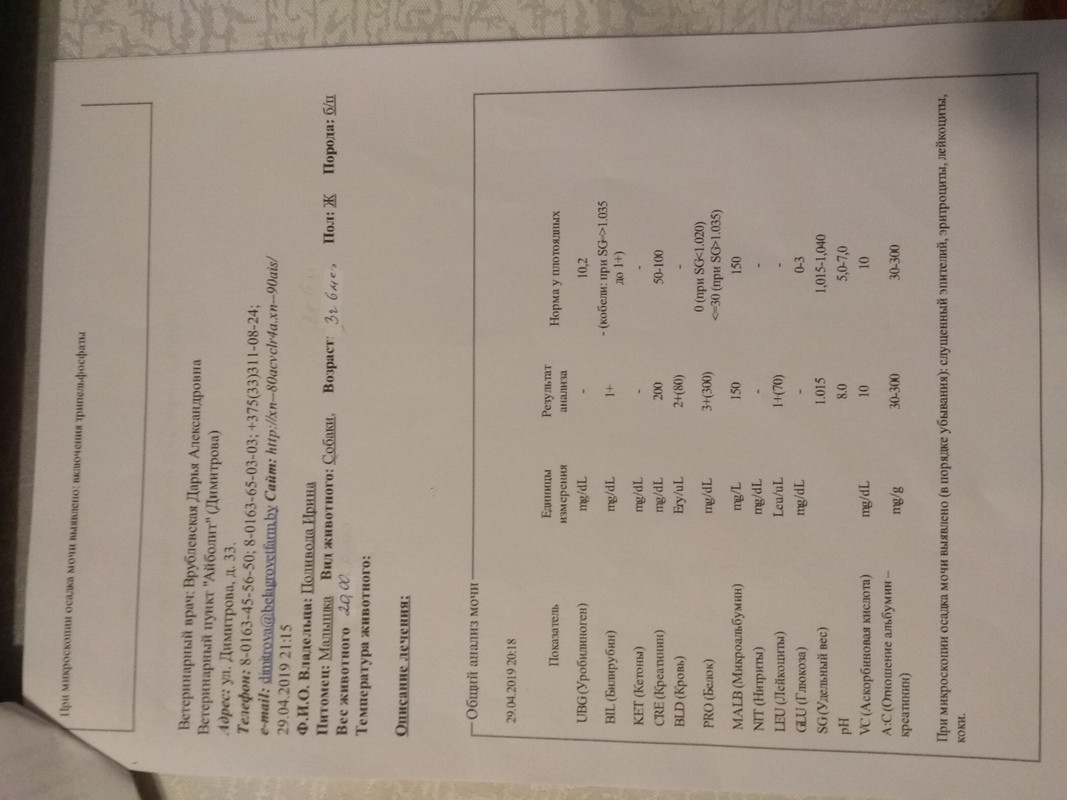 анализ мочи1