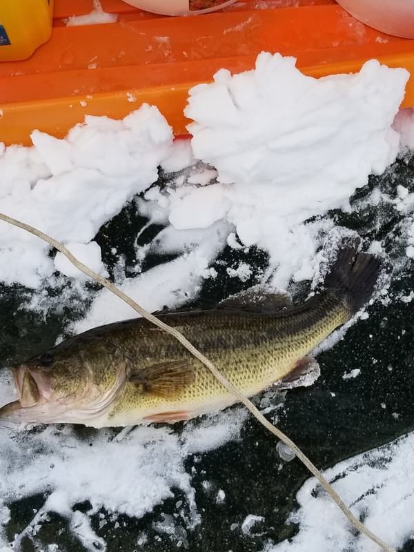 20190208_165408