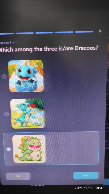 photo_2023-01-26_17-40-52