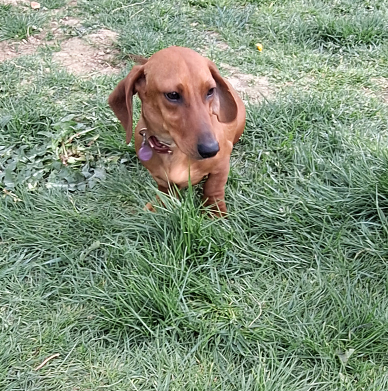 [Image: 20250413-194700.jpg]