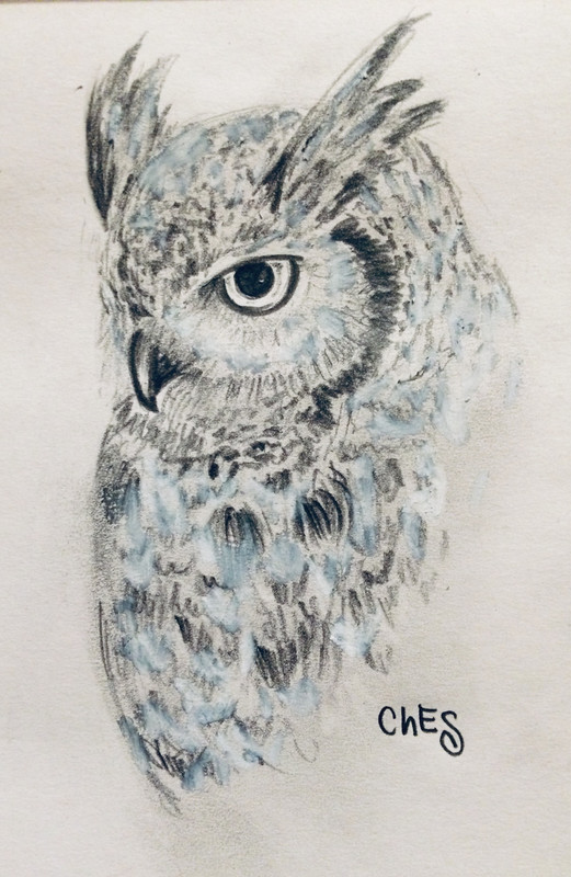 0B754079-1BFC-4919-B66A-DBBA31EBCB34