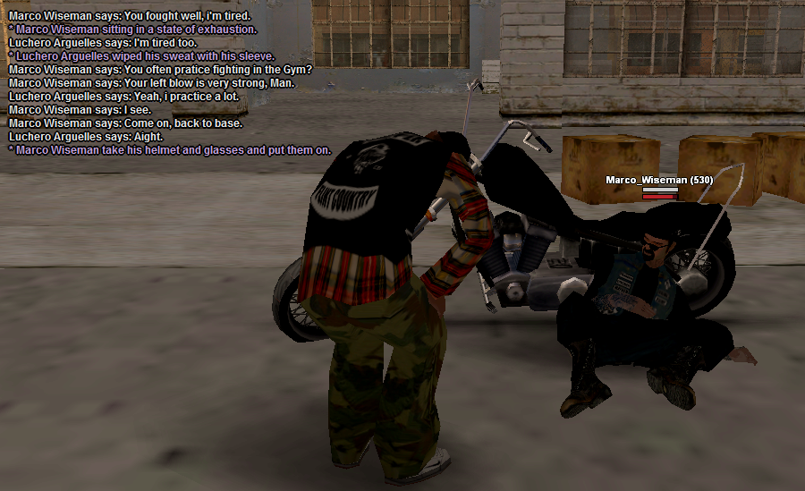 ss9.png