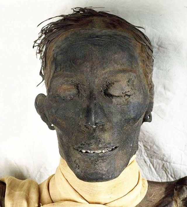 mummy of thutmose iv v0 o1tgtoffqqjc1