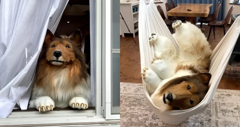 3b788fbb701e6ed8c7c158c1105536d7