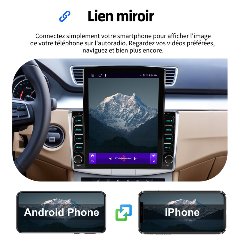 G020106503-FR-11-MIRRORLINK