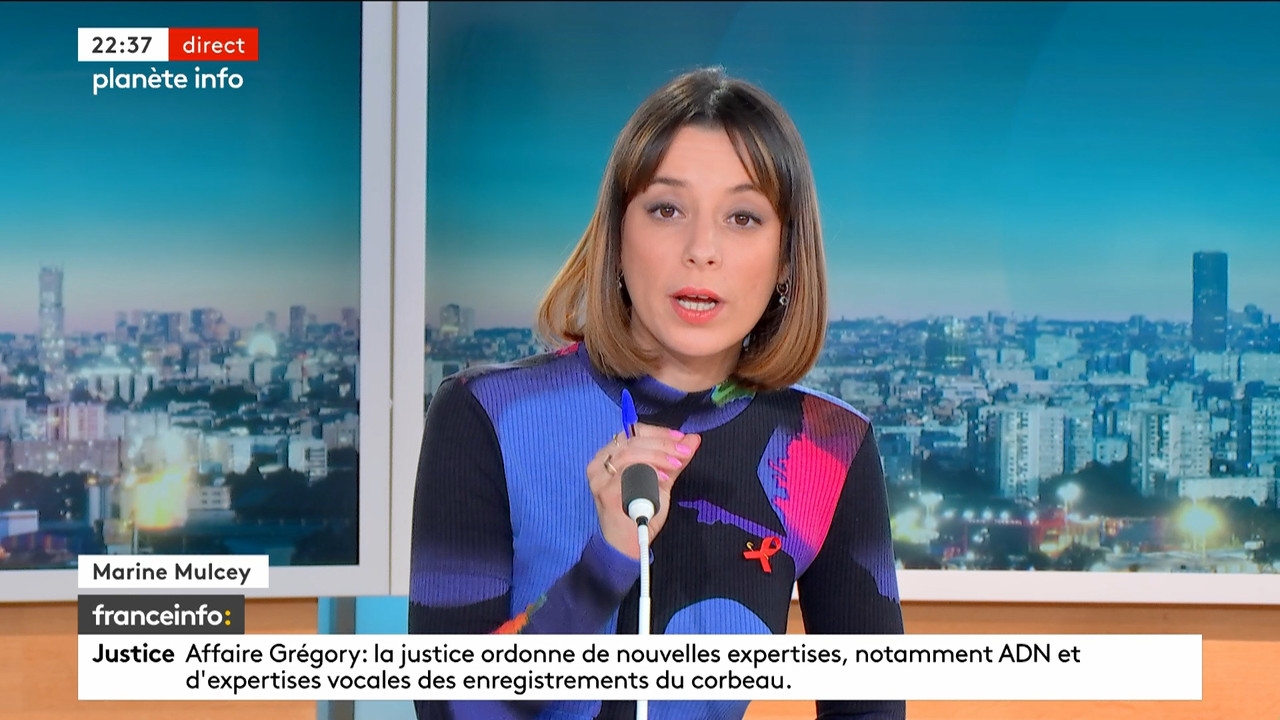 Planète info (Franceinfo)_2024_03_21_20_53_27.ts_snapshot_00.44.50.967