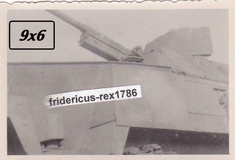 Foto SPW 3,7cm Pak Schützenpanzerwagen Sd.Kfz. 251 10 camo Panze
