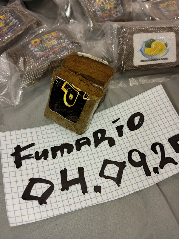 IMG_20250905_163338_546