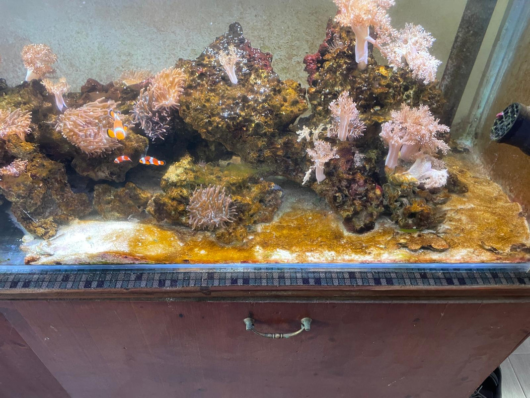 WhatsApp Image 2024-11-20 at 16.04.39 (1)