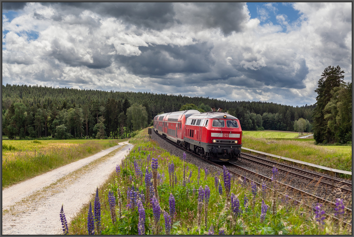 20240616 MG 2097 — Postimages