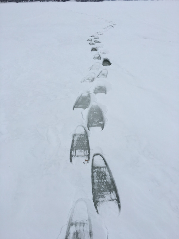 29101300-F9EC-4910-859A-F3D486CFB795