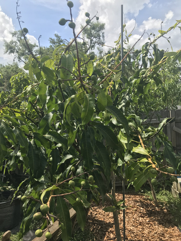 1CF44548-F511-4C59-BA09-414831195D5A