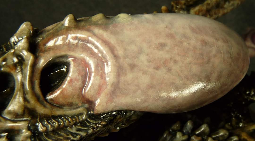 FB_IMG_1712748783445