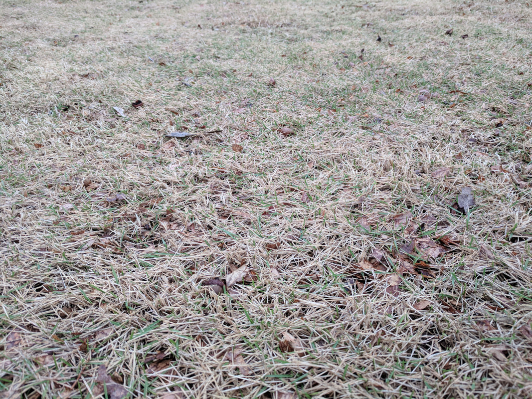 IMG_20180310_122457 (1)