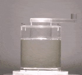 GIFs-19