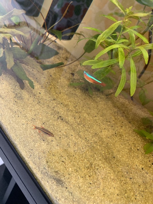 2662A10D-E7C7-42AD-8663-86BA38183BBA