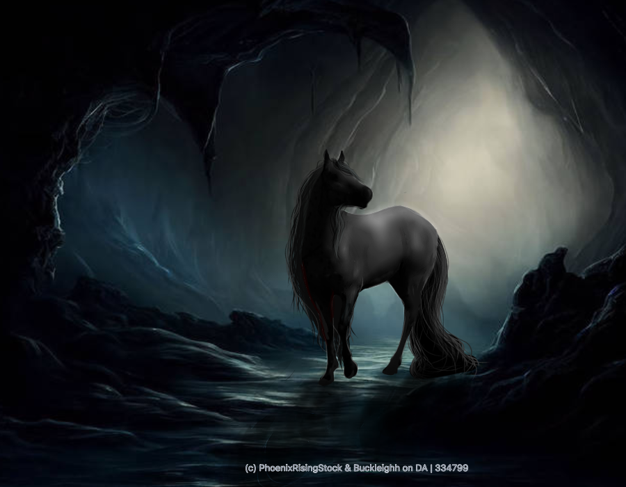 2648FE2A-0325-431E-B6FA-31E1620162D5