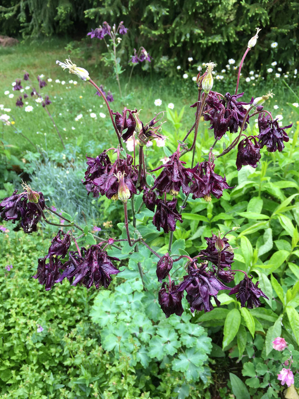 11D3FF9B-82B7-46FA-8237-7A1F24E3BEB8