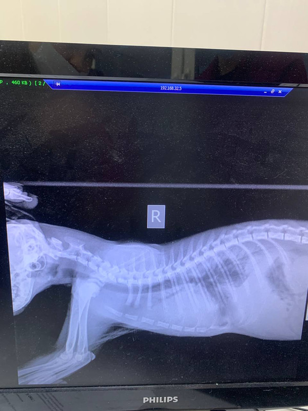 203DA0F0-872A-4356-AD4A-91898575AE5E