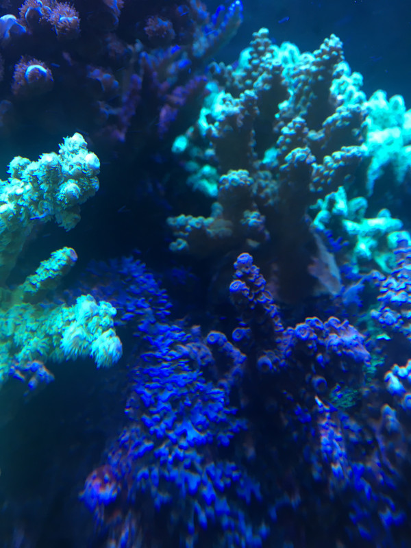 5A18BD00-85FD-4F1C-9BD1-EA269B33954F