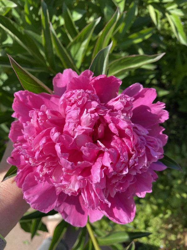 0EB2FCAF-7728-4B5F-BEB0-E0F76D5C8BB7