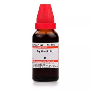 Willmar Schwabe India Squilla (Scilla) 1X (Q) (30ml)