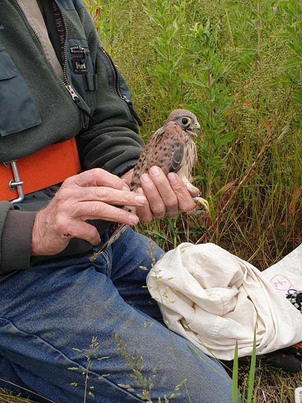 62260974_1165511240277244_1824230566623444992_n