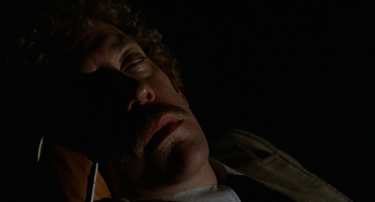 Invasion of the Body Snatchers (1978)-01_14_46-107671