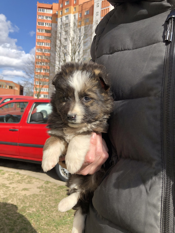 0412E4E6-AE5A-4A30-A80C-A8B7C34CA879