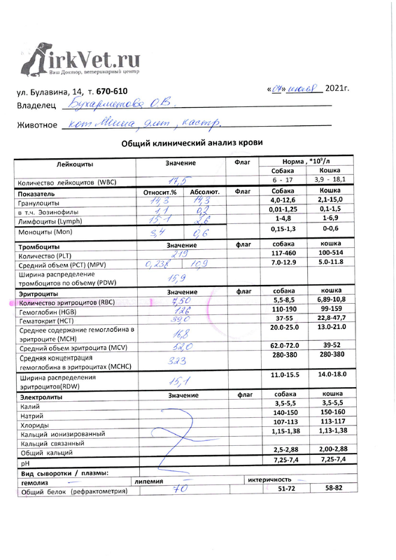 Миша_анализы_июль 2021-1