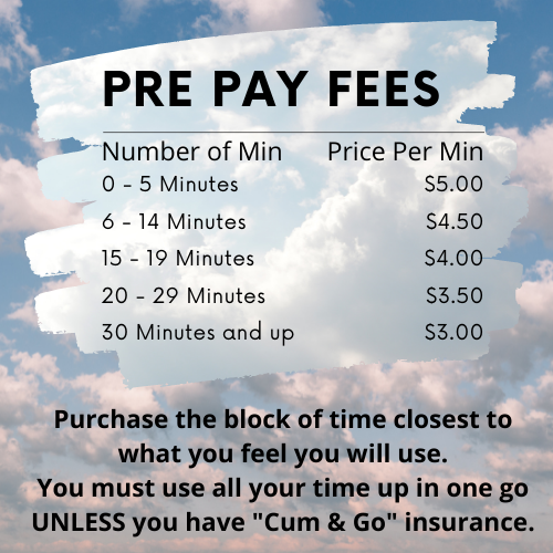 prepay1