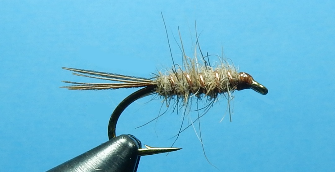 Hare-and-Copper-1080.jpg