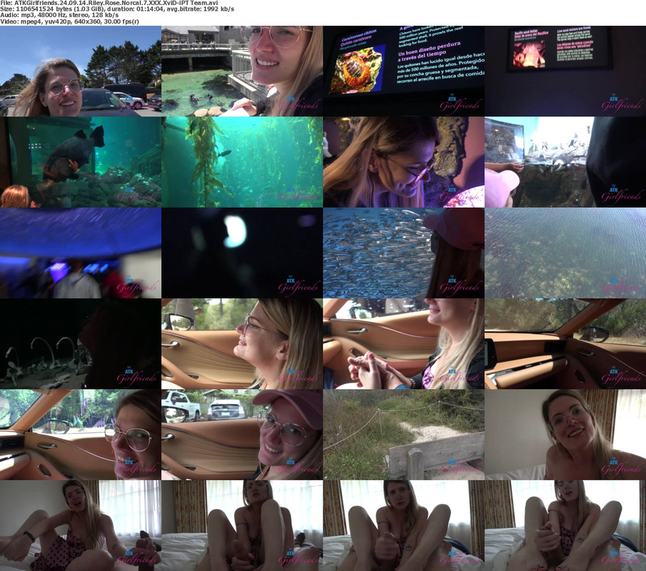 14092024144132screenshot