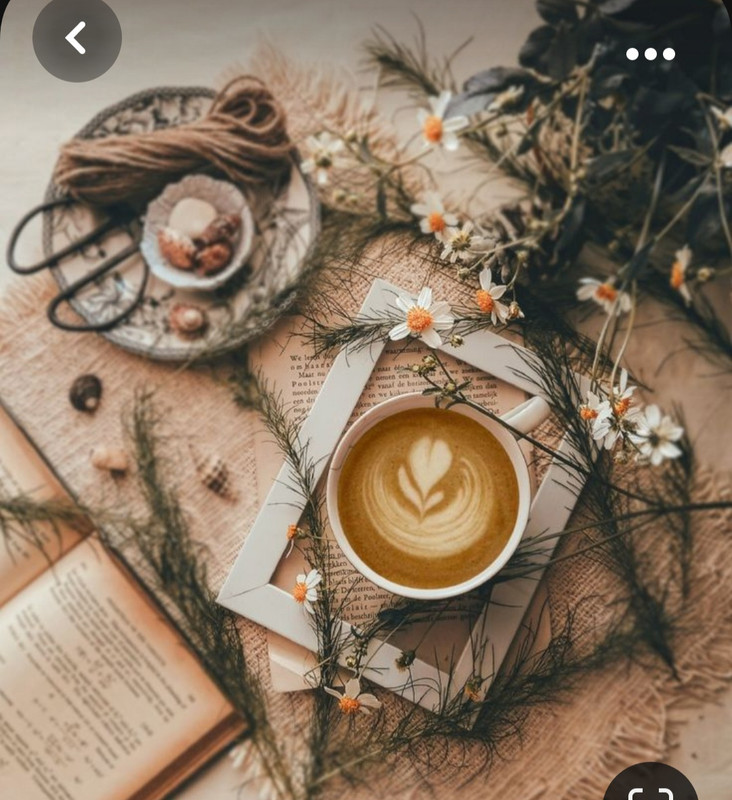 Screenshot_20230929_014237_Pinterest