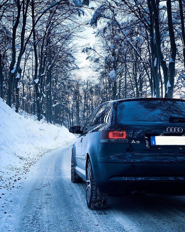 03074DD1-9C1F-4E31-8007-DF6F58F8B30D