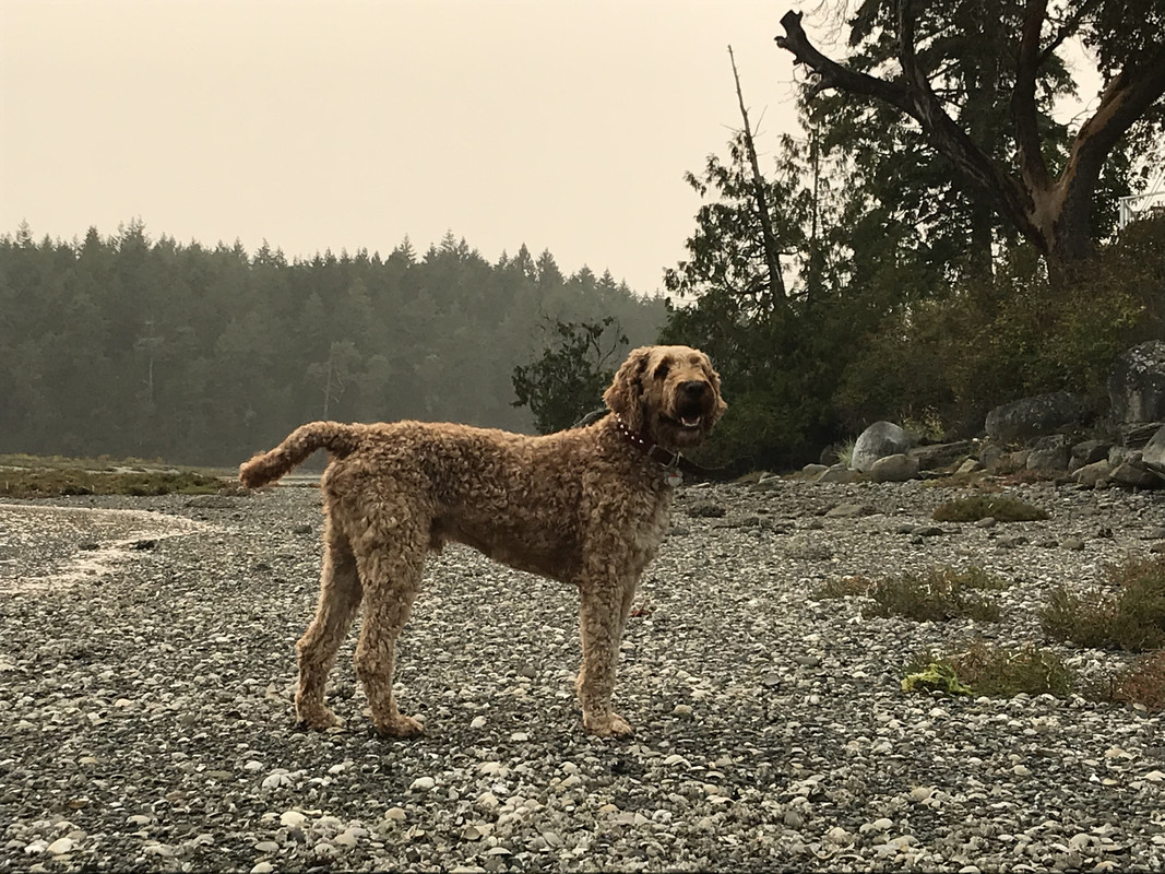 9CCD4F06-011D-4E56-AC3E-1984C32C379B