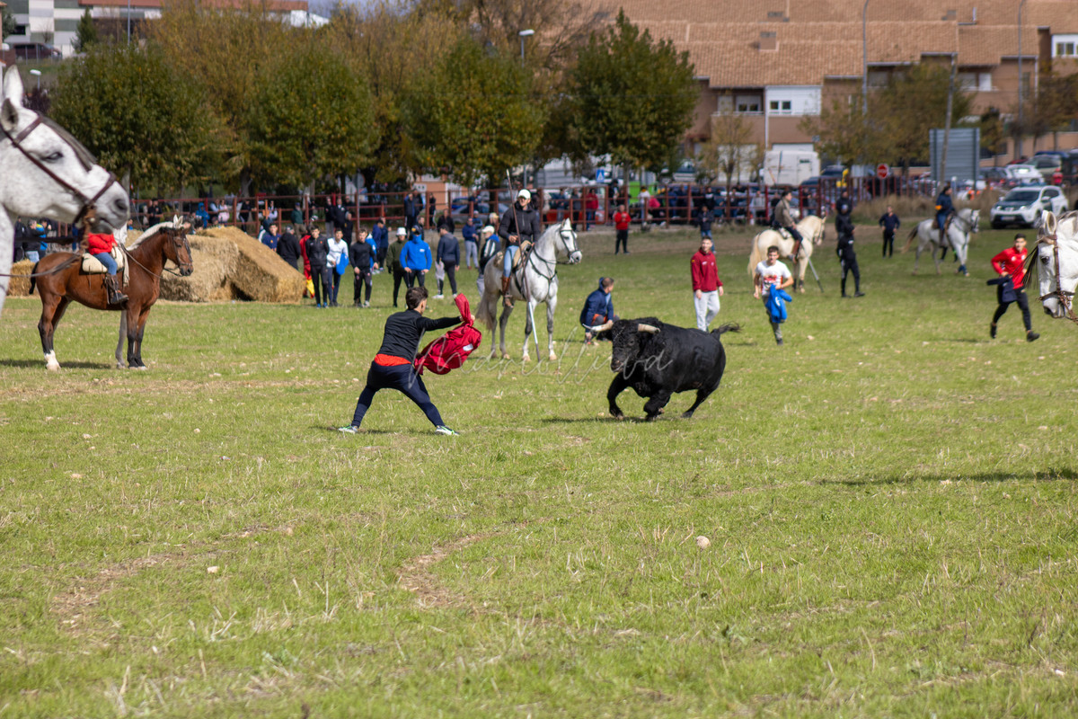 IMG_0036