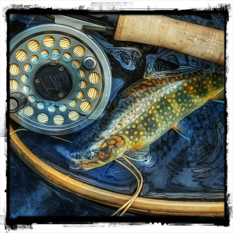 IMG_20220415_165936779~2_Peri-01