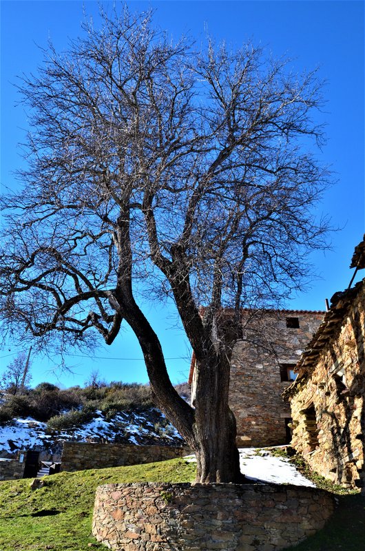 LA HIRUELA-24-1-2015 - Madrid y sus pueblos-2000/2022 (82)