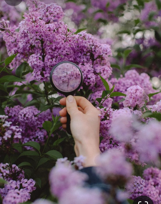 Screenshot_20240405_203310_Pinterest