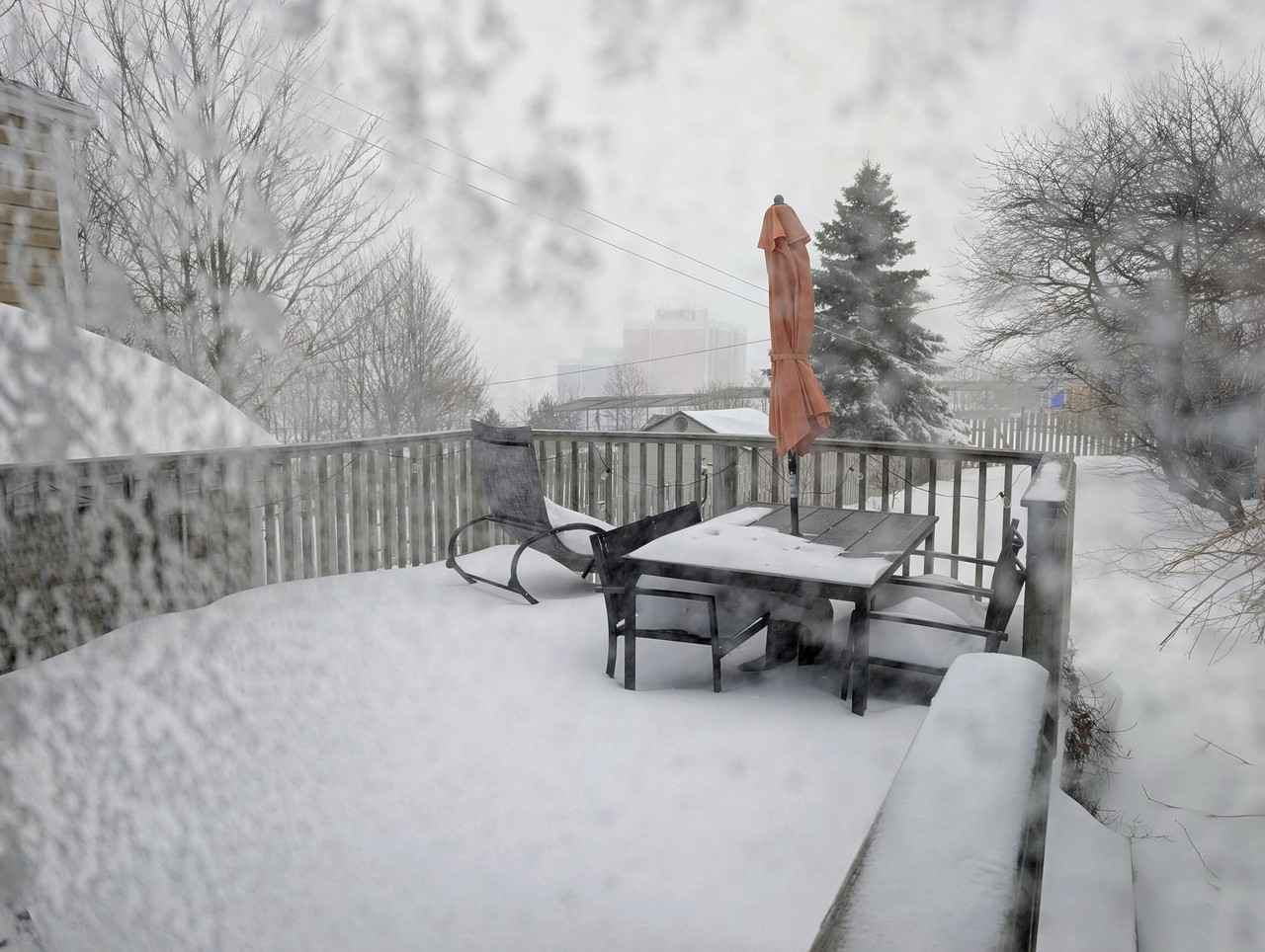 PXL 20260324 102428811 MP 2